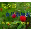 蛋白酶，蛋白酶應(yīng)用范圍