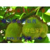 香蘭素，廠家直供香蘭素