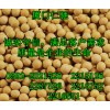 大豆分離蛋白供應(yīng)商電話 大豆分離蛋白生產(chǎn)廠家直銷