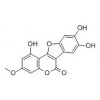供應(yīng)蟛蜞菊內(nèi)酯  524-12-9
