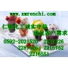 L-亮氨酸廠家電話 L-亮氨酸使用說明 L-亮氨酸最新報(bào)價(jià)