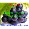 十二烷基禁發(fā) 硫酸鈉用途十二烷基禁發(fā) 硫酸鈉最新報(bào)價(jià)十二烷基禁發(fā) 硫酸鈉含量