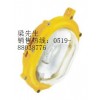 BFC8120內(nèi)場(chǎng)強(qiáng)光防爆燈，CYBF8780防爆泛光燈